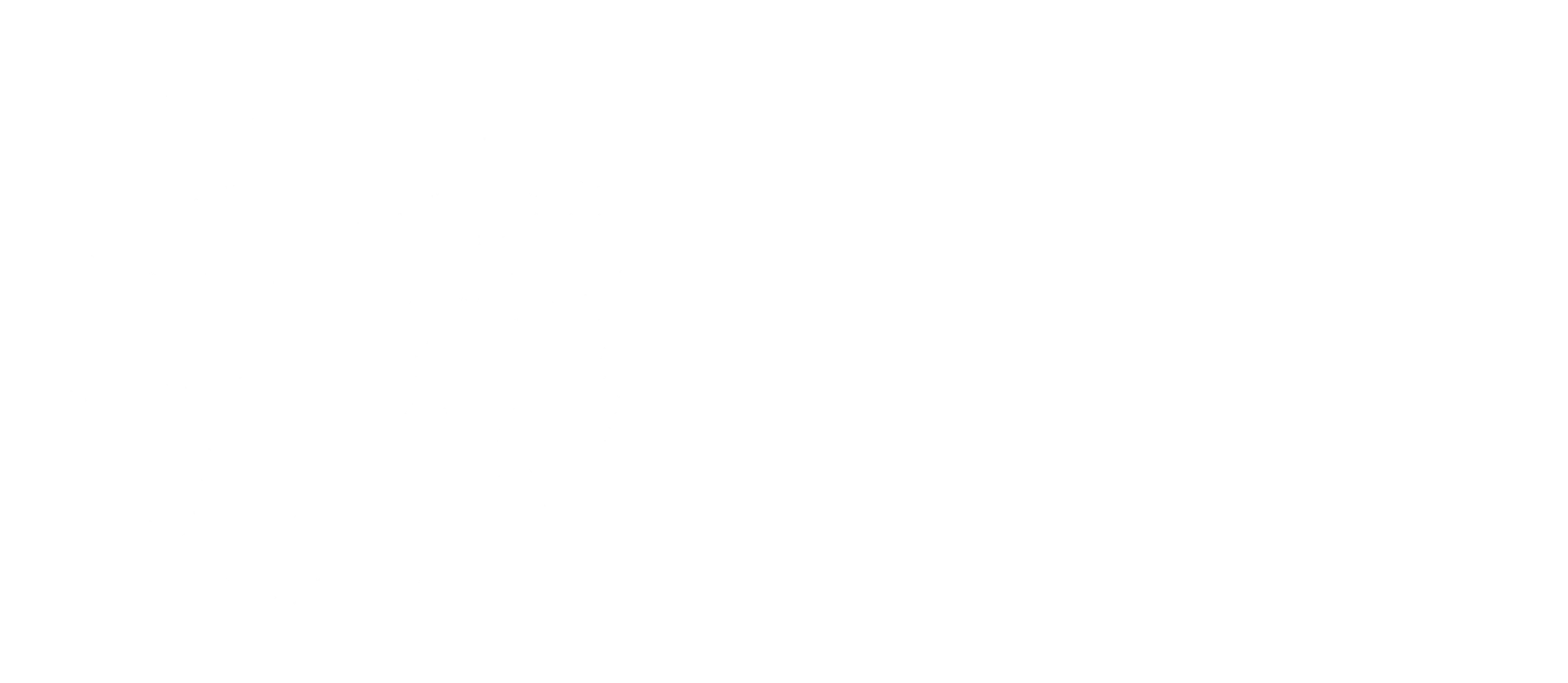 HadesNetwork Logo